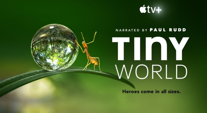 Apple TV+ Tiny World