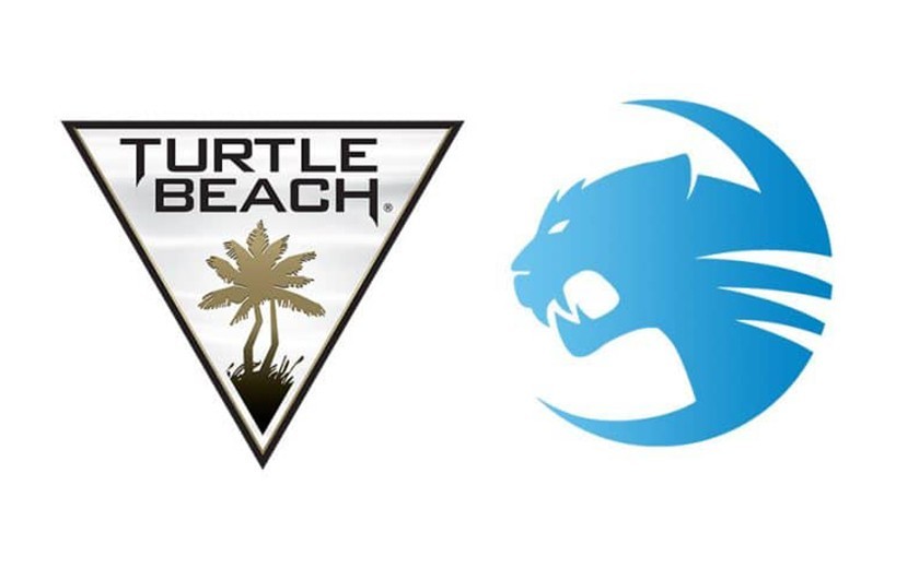 Turtle-Beach