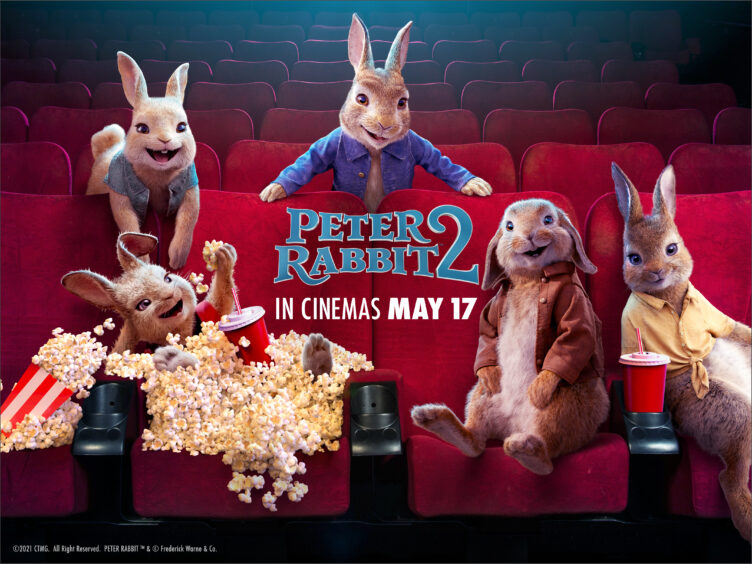 Peter Rabbit 2