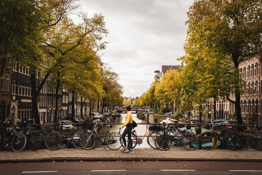 the University of Amsterdam