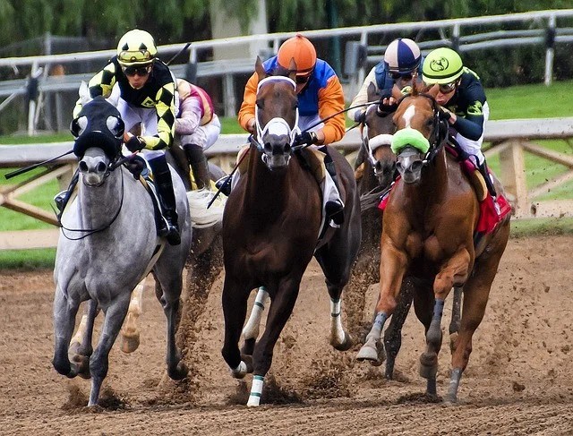 5 Things To Keep In Mind Before Betting On Horse Racing